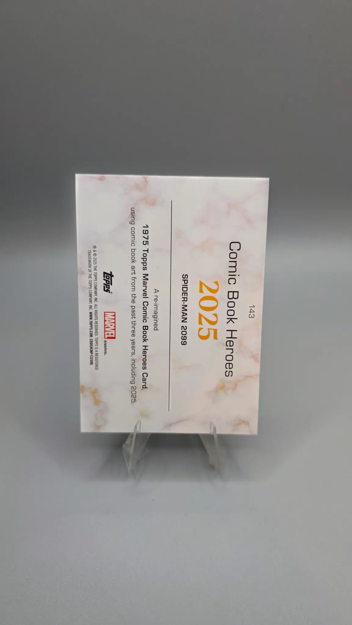 SPIDER-MAN 2099 - Back